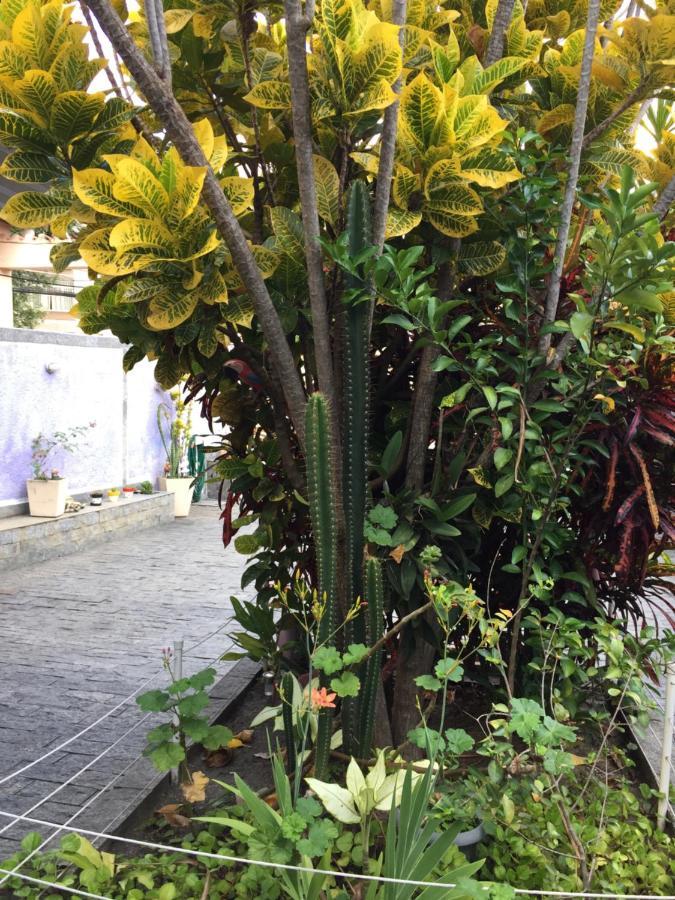 Casa aconchegante em Vila Valqueire Río de Janeiro Exterior foto